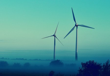 turbines in the mist - fields, trees, mist, turbines