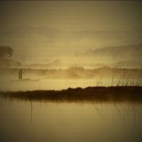 magical woopo swamp in south korea