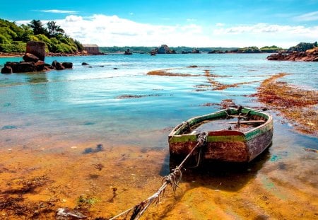 AN OLD BOAT - lake, tied, abandoned, shore, boat