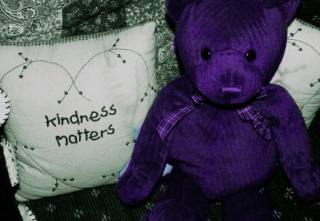 Sharing a Sentiment - bear, kindness, purple, pillow, teddy