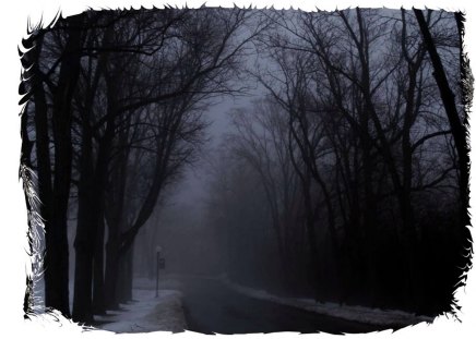 Anywhere U.S.A - season, sky, trees, dark, road