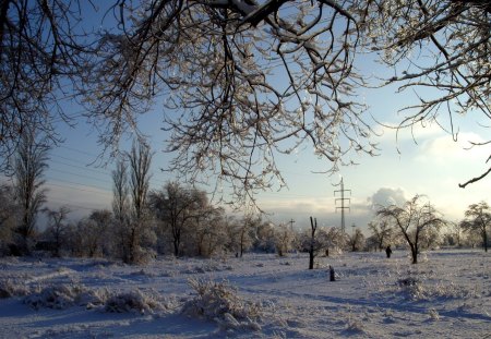 Winter - frosty, xmas, greeting, shine, other, whiter trees, amazing, cool, cold, holiday, frozen, silent, shining, nature, splendidly, celebration, beautiful, seasons, travels, peaceful, photography, mountains, wonderful, mist, gorgeous, quiet, winter time, rivers, magnificent, winter, christmas, splendor blue in winter, splendor, miracle, fog