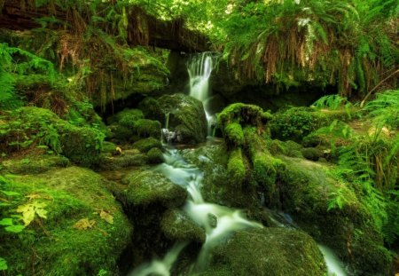 waterfall - forest, waterfall, stones, green