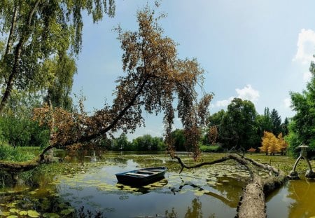 old boat on the lake - lake, old, tree, boat