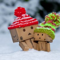 Danbo in Winter