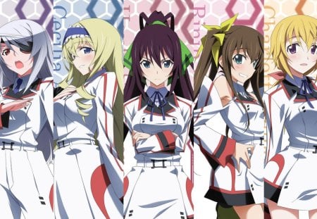 Laura, Cecilia, Houki, Ling Yin & Charlotte - girls, infinite stratos, pretty, anime, cute