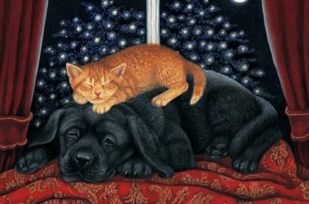 By Avril Haynes - painting, art, cat, night, abril haynes, kitten