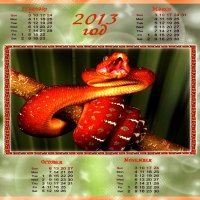 2013~YEAR of the SNAKE