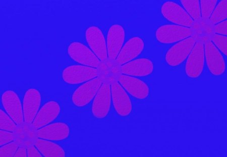 pink daisies on blue - daisies, blue, daisy, background, pink