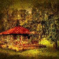 Little House by the Apple Tree