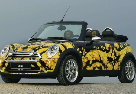 Mini Versace Cabrio - cool, cabrio, cars, mini cooper, versace, posh