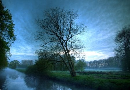 Silence Spreads......... - silence, water, evening, forest, rainforest, plant, tree