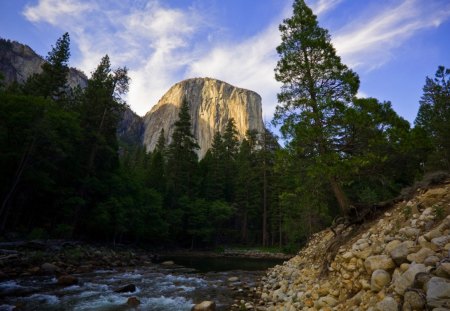 El Capitan - hill, trees, beautiful, forest, mountain, tree, sky