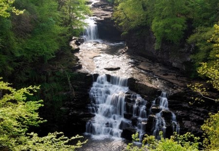 Water fall - fall, forest, water, water fall, trees