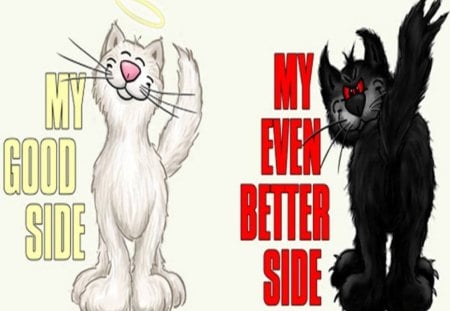 Angel and Devil Cats - good, abstract, cats, naughty