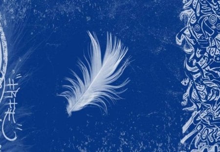 Oriental Feather - white bird feather, edging, oriental writing