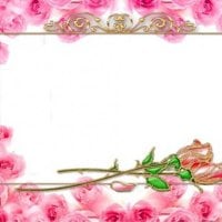 Gold Rose Frame