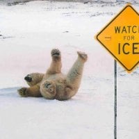 Watch For Ice