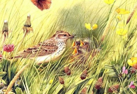 Feeding Time - bird, nest, garden, chicks, butterfly, art