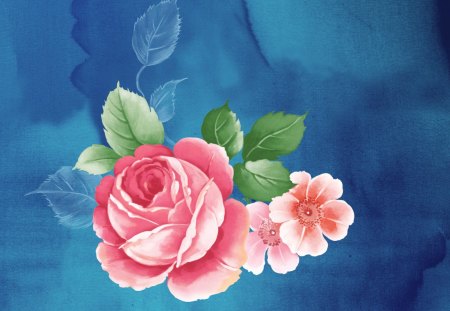 Pretty Peony Flower - art, peony flowers, blue background