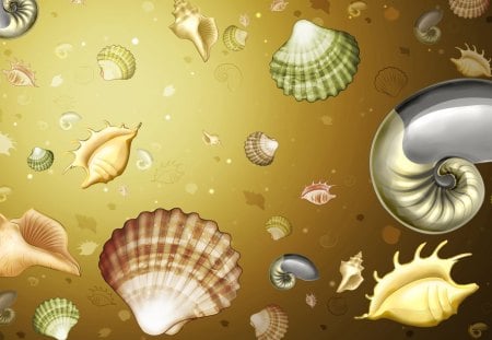 Sea Shells - art, sea shells, background, floating, shells, shell, color