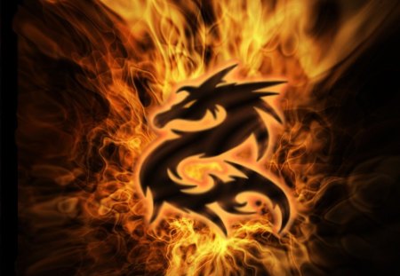 Fire Dragon - dragon, flames, fire