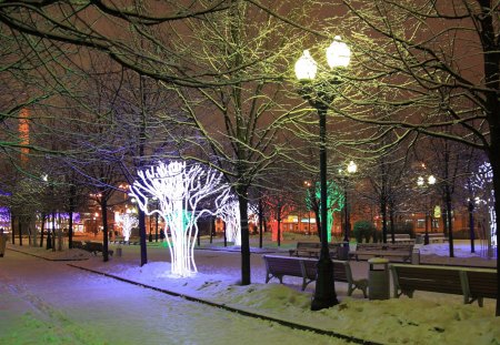 Winter - nature, winter, night, avenue, lights