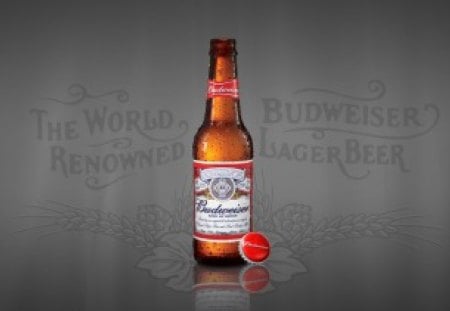 Budweiser bottle - budweiser, sports, bottle, beer