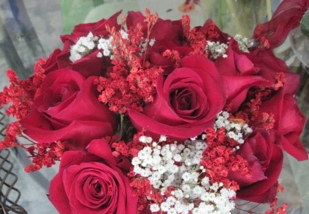 Bouquet of red roses - white, photography, red, flowers, rose