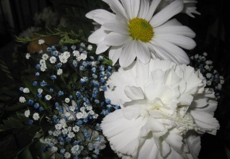 Bouquet of white daisy - flowers, white, yellow, green, photography, daisy