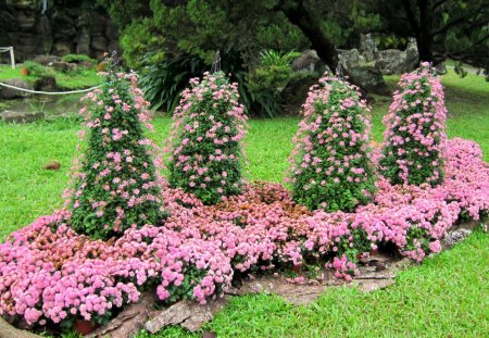 Beautiful garden - garden, grass, flower, beautiful