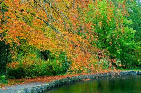 stone path besides a lake in autumn - lake, path, trees, stone, autumn