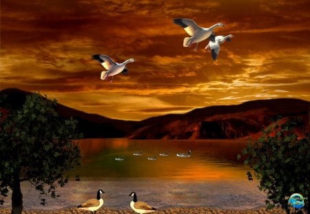 Randi's Sunset 1600x1200 - geese, sunsets, mountains, lakes