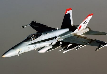 FA 18 Hornet Aircraft - fa, aircraft, hornet, 18