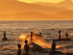 rock statues on a vancouver shore