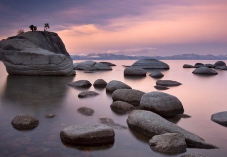 trees growing on a rock in lake tahoe - lake, pastel colors, trees, rocks