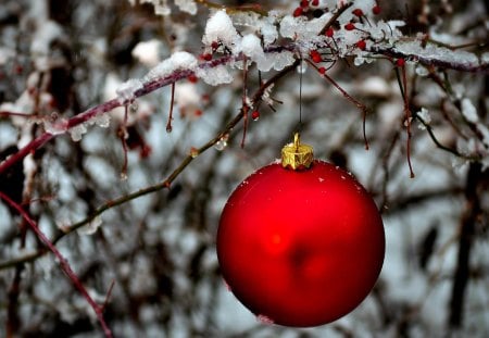 *** Red bauble for Christmas time *** - wishes, christmas, best, hope, holidys, merry, happy