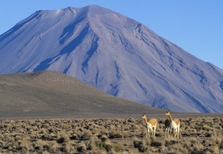 el misti, stratovolcano, peru, volcano - volcano, elmisti, stratovolcano, peru