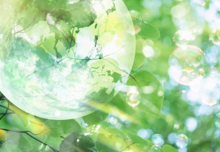 Transparent Globe, green leaves and sunlight - nature, sunlight, leaves, globe, green