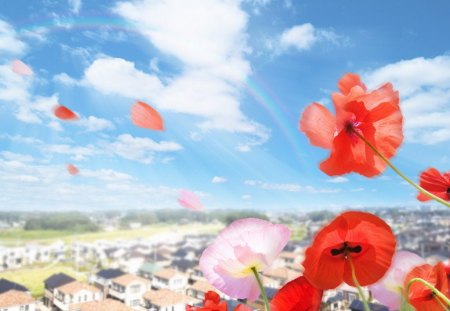 Blue sky and flowers over Residential Area - flowers, nature, blue, red, sky