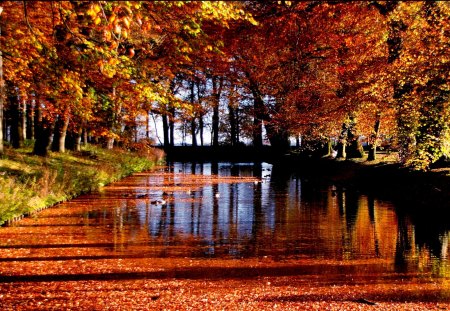 CANAL in AUTUMN - nature, canal, autumn, trees