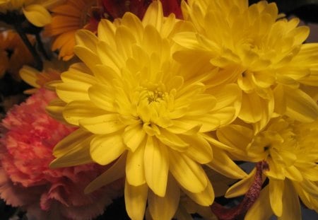 Bouquet of yellow flowers - flowers, yellow, pink, photography