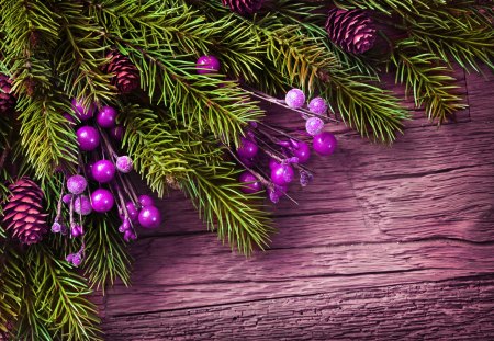 Christmas branches - cone, nice, branches, new year, winter, lovely, berries, christmas, purple, pretty, wall, beautiful, holiday, tree