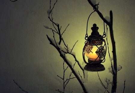 Winter Lantern - branch, winter, beautiful, photography, snow, candle, night, light, lantern, tree