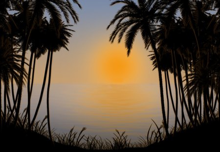 Sunset - palms, set, sea, sun