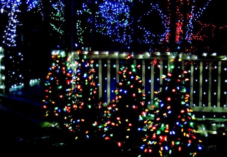 Christmas Trees in a Row - christmas, winter, nature, holiday, lights, decorations, christmas trees, lawn decorations