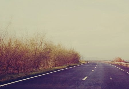 Coming Home. - automne, road, nature, sky