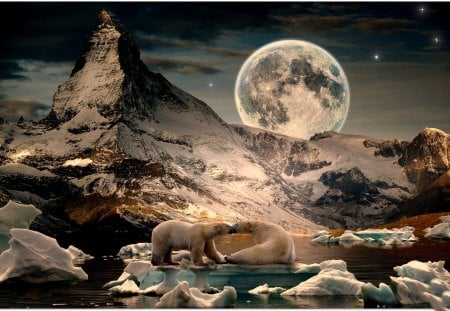 *** Bears in a beautiful winter night *** - white, bears, bear, animals, snow, night, winter, noon