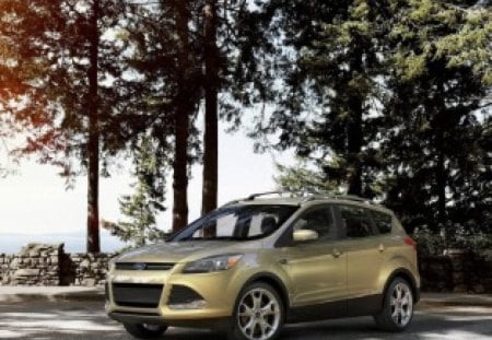 The Ford Escape - ford, machine, escape, car