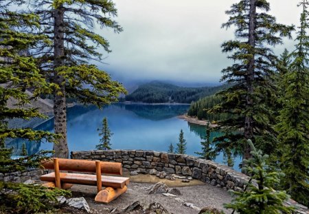 tranquil lake front bench - lake, forest, bench, front, desk, ttrees, tranquil